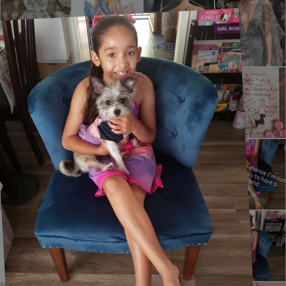 MEET MIA COLLECTION - Picture 2 of 7